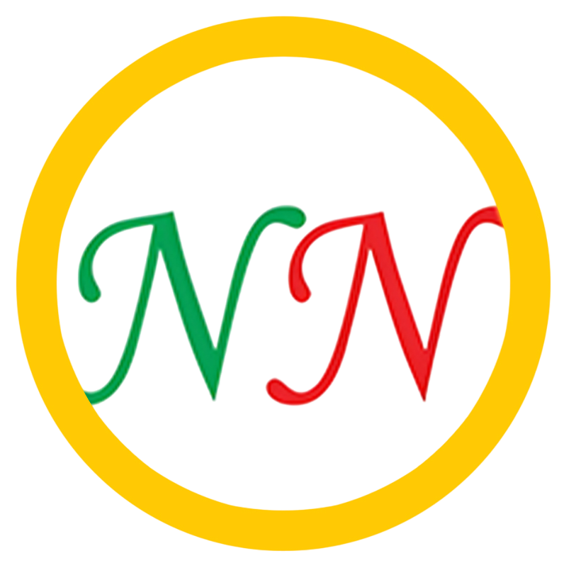 cropped-nnlogo-Photoroom.png