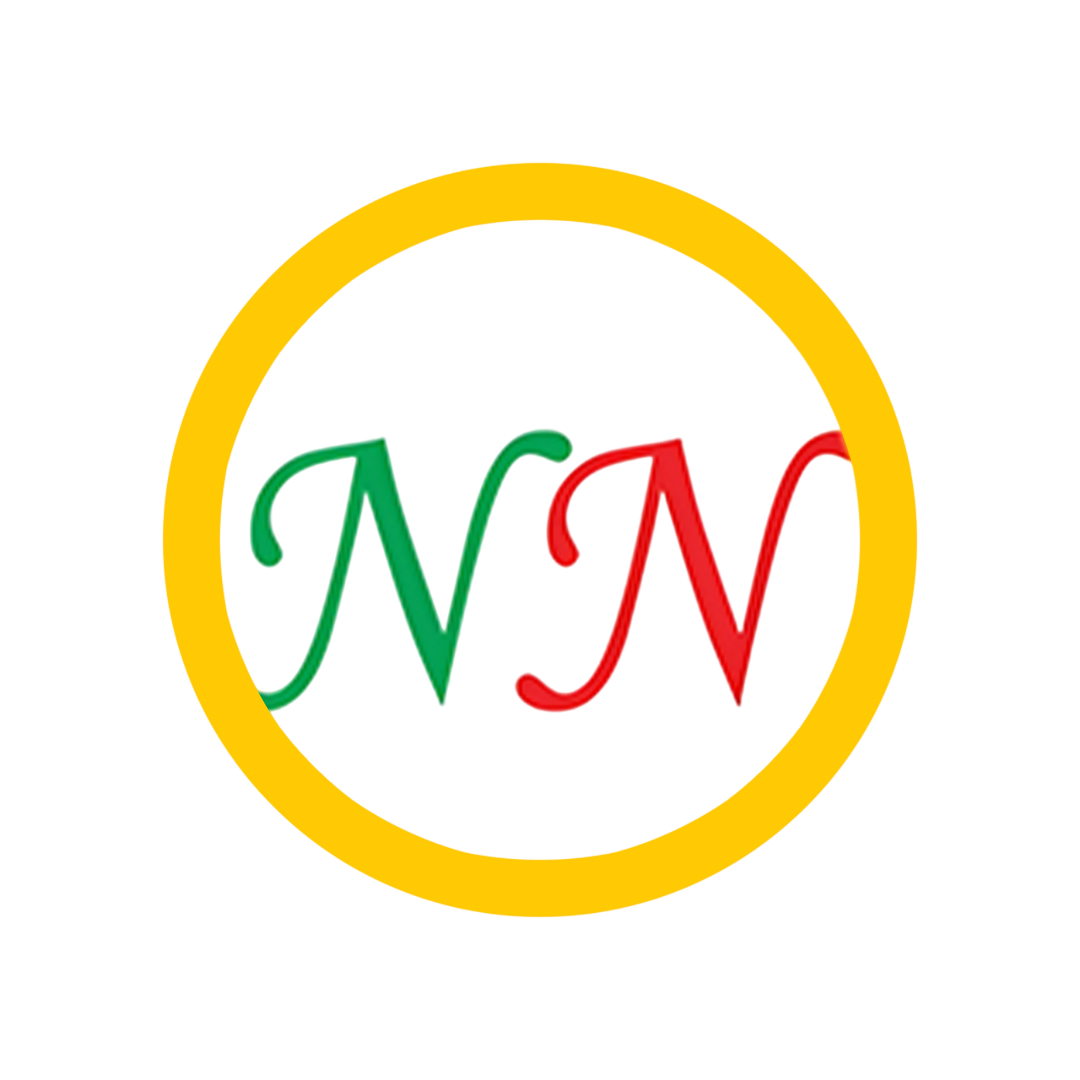 nnlogo-Photoroom
