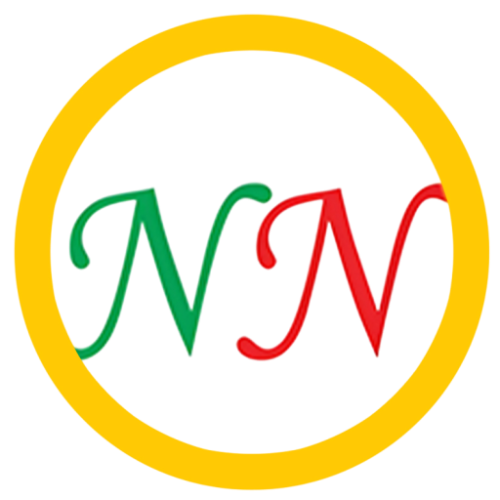 cropped-cropped-nnlogo-Photoroom.png